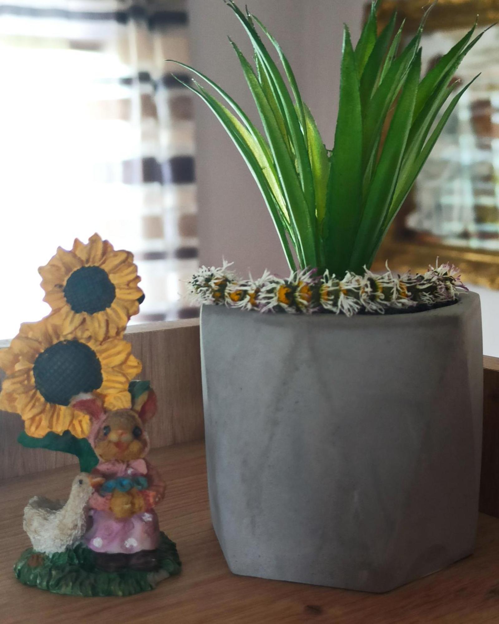 Apartament Kuca Despot Kremna Zewnętrze zdjęcie